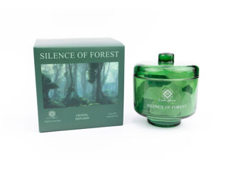 Green Silence of Forest – Cristale naturale Green Fluorite si Quartz Alb foto 3