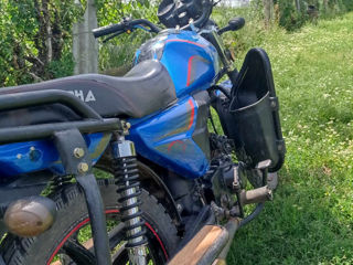 Alpha Moto Alpha foto 4