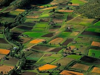 Cumpar terenuri agricole!  arenda! foto 1