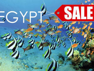 Egypt din Chisinau!  Oferte fierbinte in Egypt foto 5