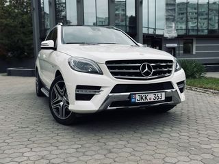 VIP transfer - zile de nastere , nunți , Foto sesie foto 10