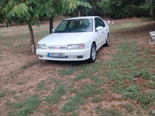 Nissan Primera