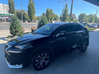 Lexus NX Series foto 6