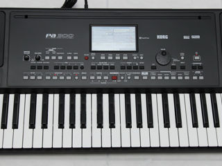 Korg pa 300