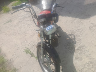 Alpha Moto Альфа 110 foto 3