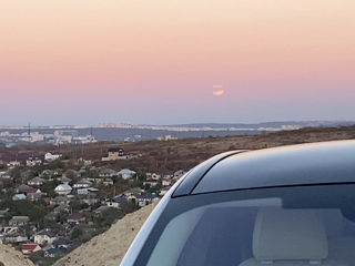 Ford Mustang foto 8