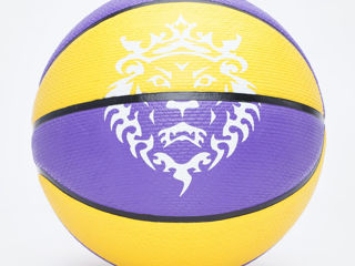 Mingi de Basketball / Minge Basket Баскетбольные мячи  100 % Original / Garantie / In Stock foto 15