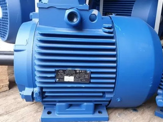 Motor 75kw/3000ob.