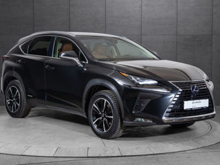 Lexus NX Series