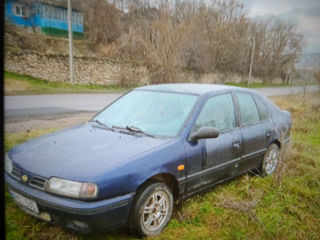 Nissan Primera