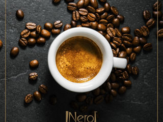 Nero Nobile Arabica 112 g Cafea Dolce Gusto 16 Capsule, Livrare Moldova foto 2