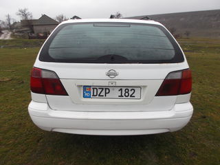 Nissan Primera foto 4