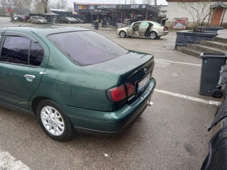 Nissan Primera foto 10