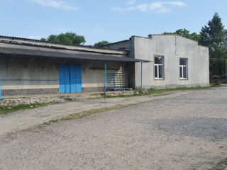 Под производство 1000 м2 на 62 сотках центре с. Бравича , р-н Калараш , 50 км от г. Кишинева