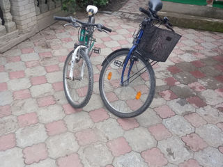 Biciclete foto 5