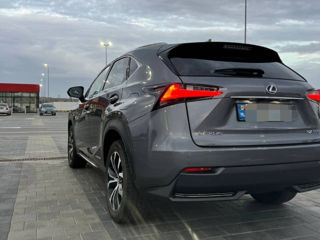 Lexus NX Series foto 6