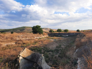 Fost complex de vite, teren de 15,50ha cu diferite construcții foto 10