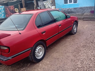 Nissan Primera foto 5