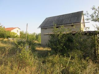 2 соток (2 участка по 6 соток), 25 км от Кишинева с домом и колодцем. foto 5