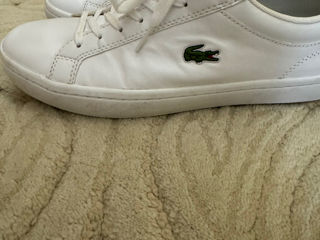 Lacoste foto 4