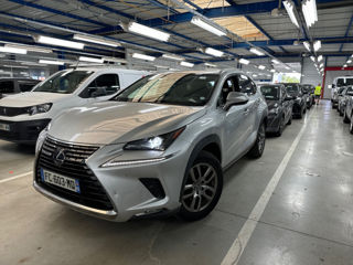 Lexus NX Series