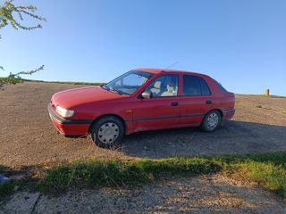 Nissan Sunny foto 4