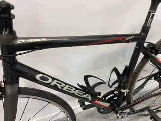 Orbea sosea foto 8