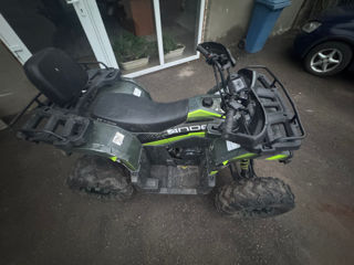 Viper Atv viper 200ccc foto 5