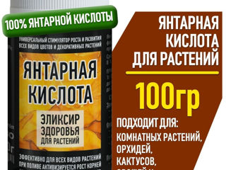 Стимулятор роста растений янтарная кислота stimularea creșterei plante succinic acid foto 3