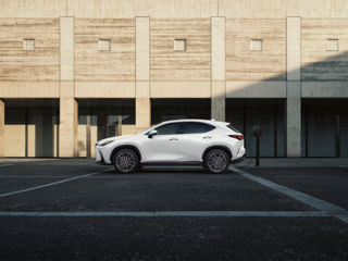 Lexus NX Series foto 7