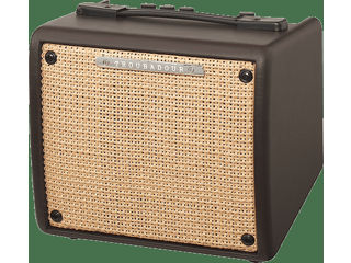 Ibanez T15II Acoustic Combo