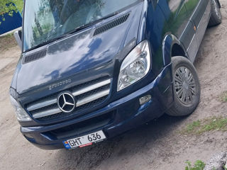 Mercedes Delfin
