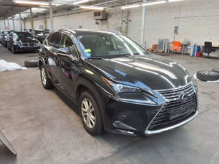 Lexus NX Series