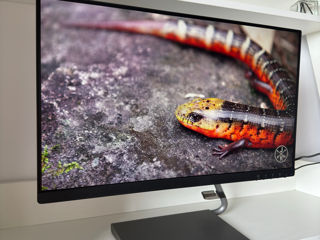 Lenovo Q24i-10 24' Monitor  IPS W-LED 100% sRGB 75Hz 250cd/m2 AMD Freesync VESA mount gaming foto 9