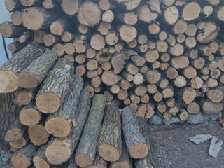 Продам дрова сухие резанные, а также метровки. Бельцы foto 1
