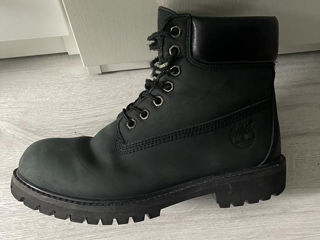 Timberland foto 2