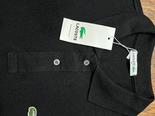 Polo Lacoste foto 3