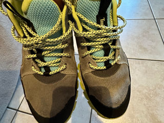 Timberland foto 5