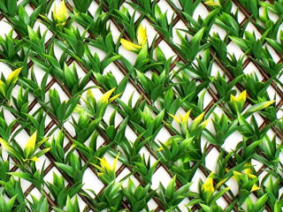 Искусственные зеленые стеновые панели.Panouri de perete verzi artificiale. foto 13