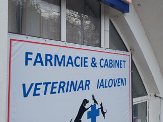 Farmacie și Cabinet Veterinar IaloVet