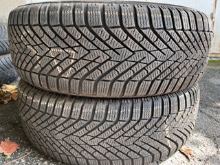 R19 225/55 Pirelli Winter Scorpion