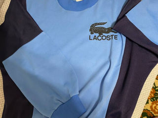 Lacoste foto 4