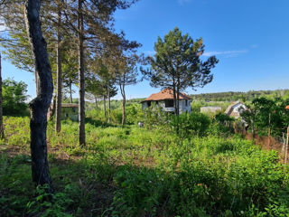 Casa nefinisata in sânul naturii foto 10