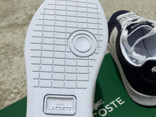 Lacoste foto 4