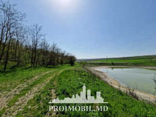 Spre vânzare teren agricol 4ha în Budești! foto 6