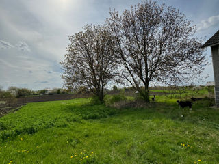 Vând casă cu lot de pământ foto 9