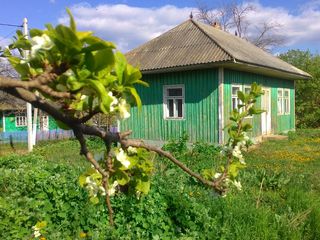 12000 lei casă stare foarte bună, este fîntînă, nu este crapata nici putred. Trebu de vopsit, foto 2