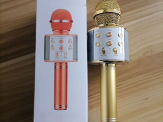 Microfon karaoke / Караоке микрофон foto 4