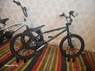 Bmx Biciclete Rotile la 20   Recent aduse Germany  bmx