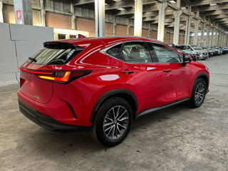 Lexus NX Series foto 4